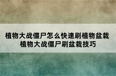 植物大战僵尸怎么快速刷植物盆栽 植物大战僵尸刷盆栽技巧